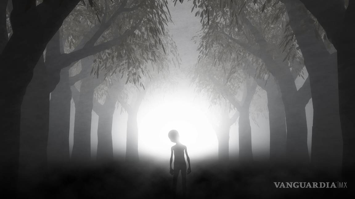 $!La Ecuación de Drake, fue concebida en 1961 por el radioastrónomo Frank Drake y se emplea para estimar la cantidad de civilizaciones en nuestra galaxia.