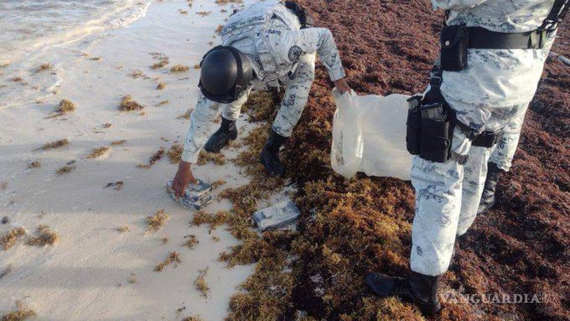 Encuentran cocaína entre sargazo en la playa, en Cozumel