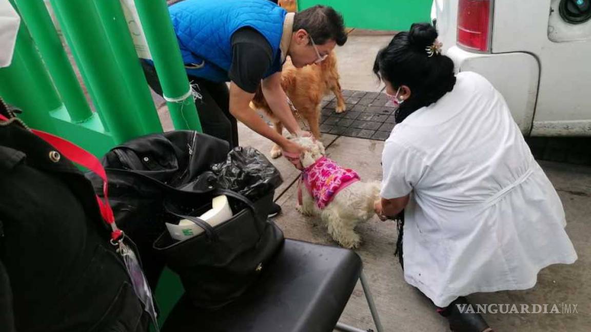 Alertan por falsa vacuna antirrábica en Edomex, ya han muerto mascotas