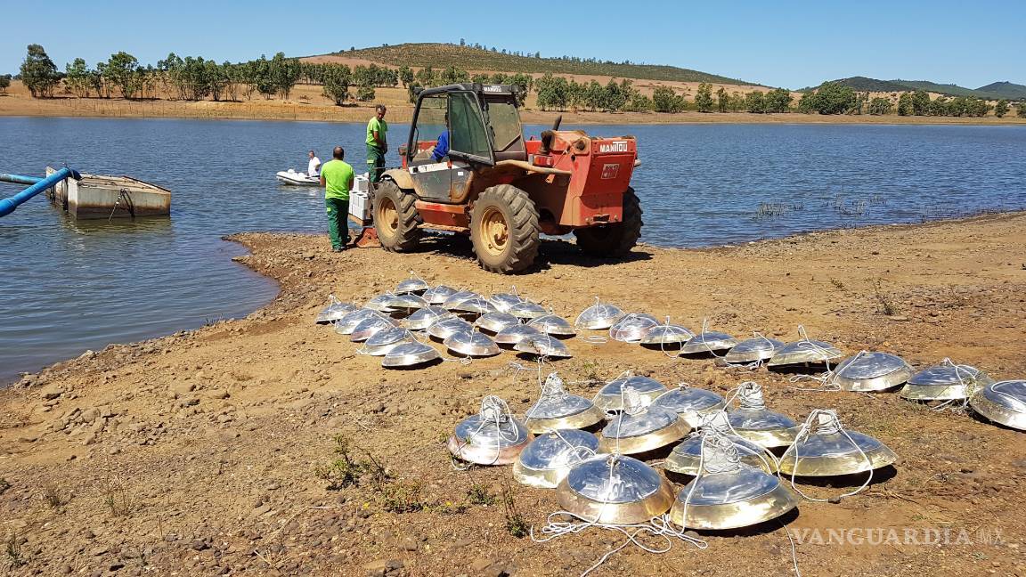 $!Agua más "fina" y de mayor rendimiento gracias a la nanotecnología
