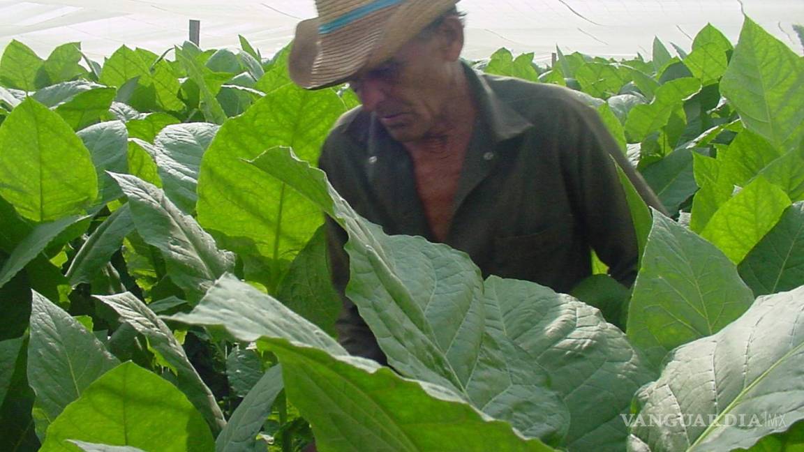 Entrega Registro Agrario Nacional títulos de propiedad a 5 mil campesinos de Coahuila