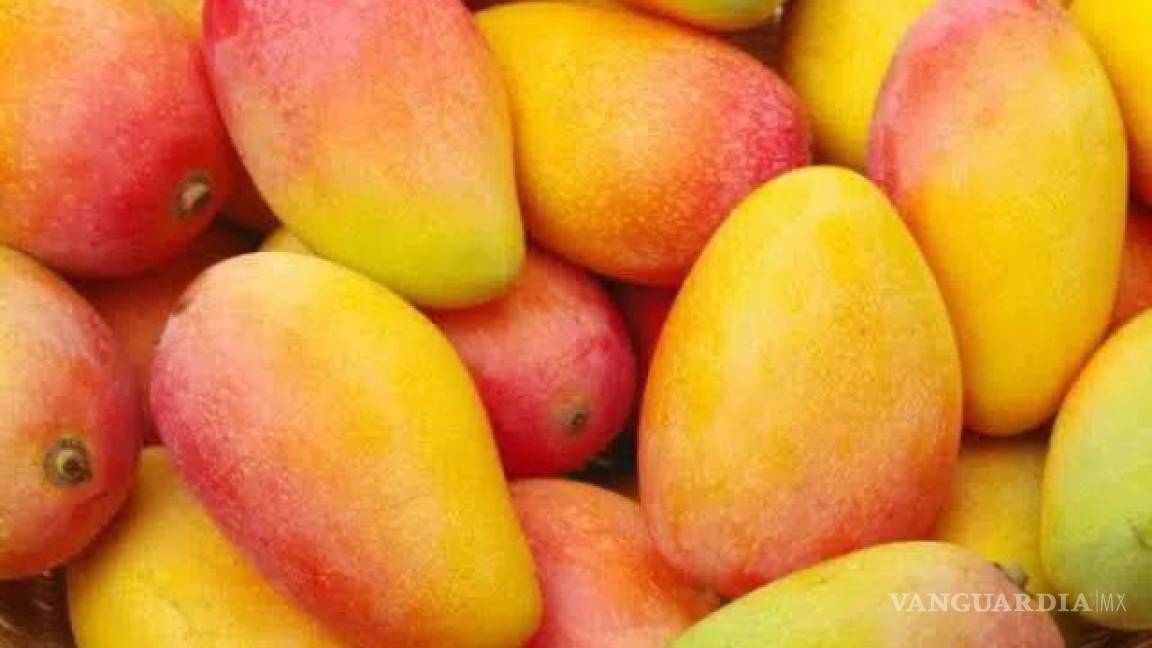 EU frenó también la importación del mango michoacano