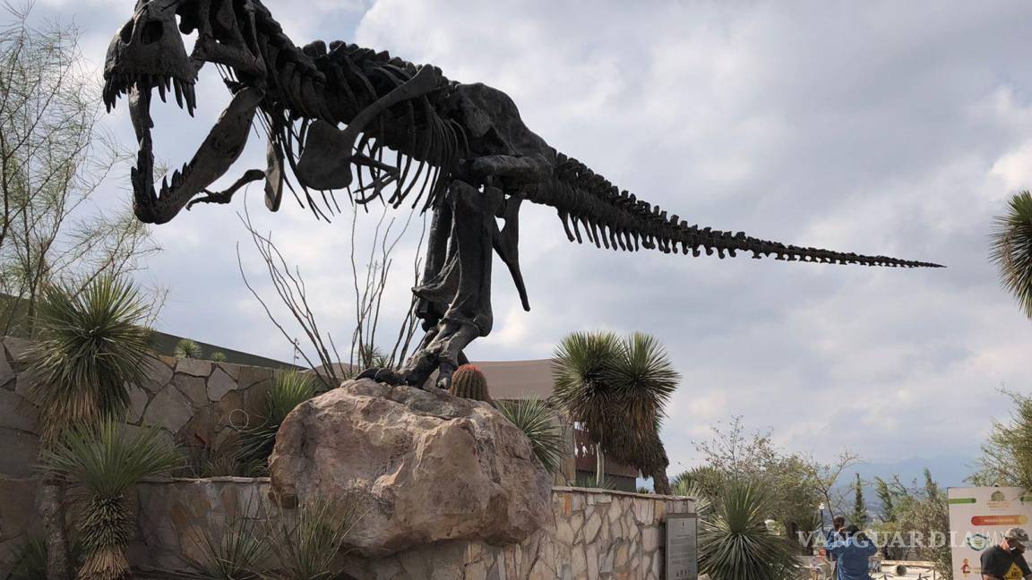 Así luce el nuevo T-Rex guardián del Museo del Desierto en Saltillo