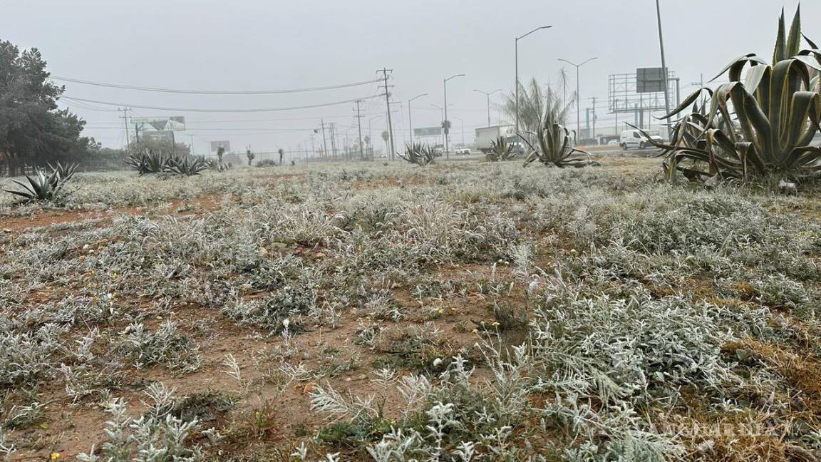 Frente frío número 27 azota Coahuila: recomendaciones para enfrentar las bajas temperaturas