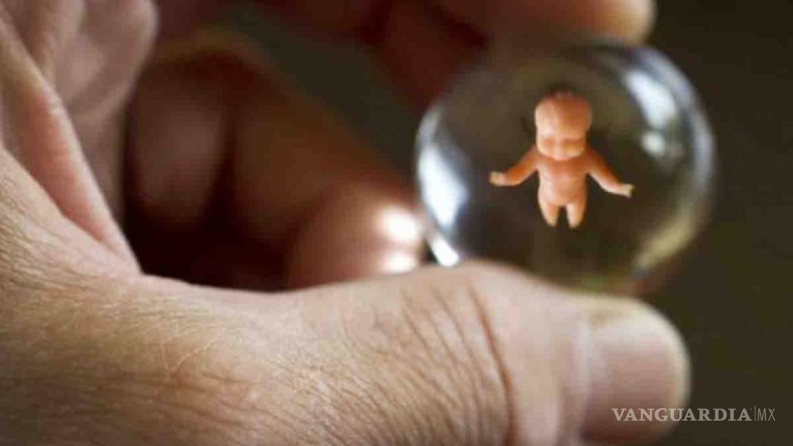 Científico de la UNAM afirma que un embrión no es una persona