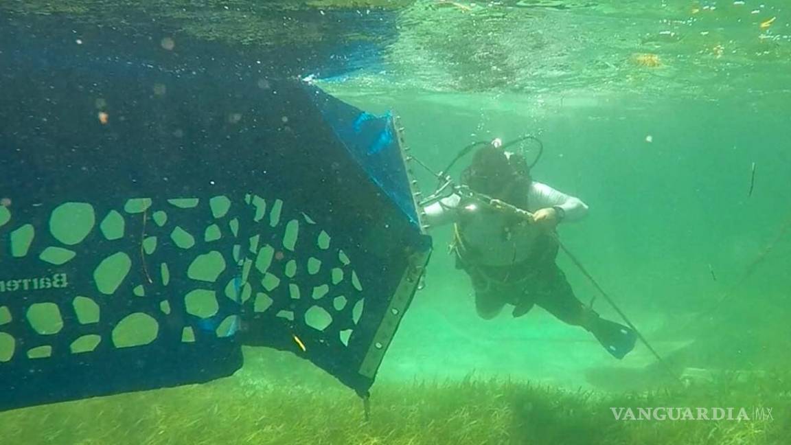 $!Instalan barreras en Quintana Roo para evitar que sargazo llegue a la playa