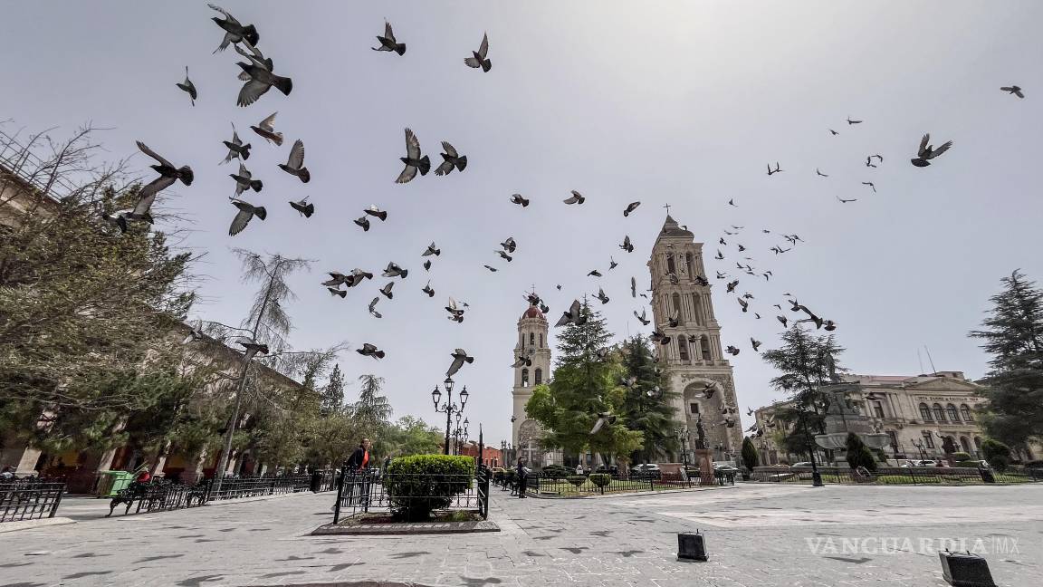 $!Los fuertos vientos generaron que la calidad del aire se degradara.