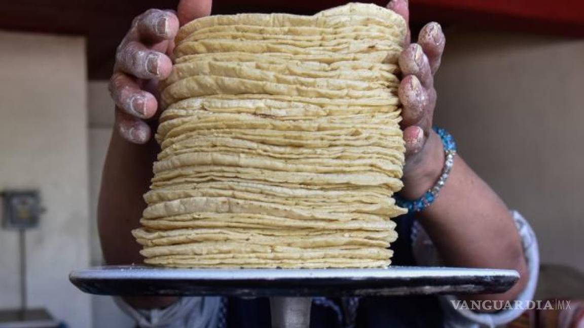 ¡A 30 pesos!... Pronostican que kilo de tortilla aumentará a finales de 2022