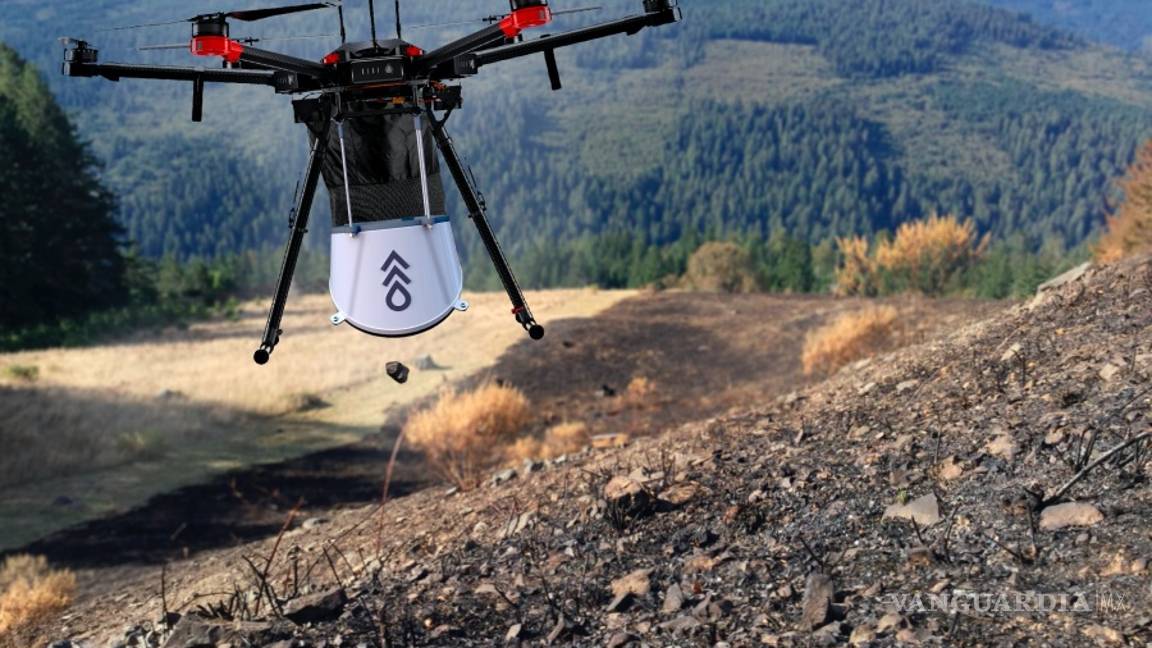 $!La empresa Flash Forest quiere sembrar mil millones de árboles en Canadá usando drones