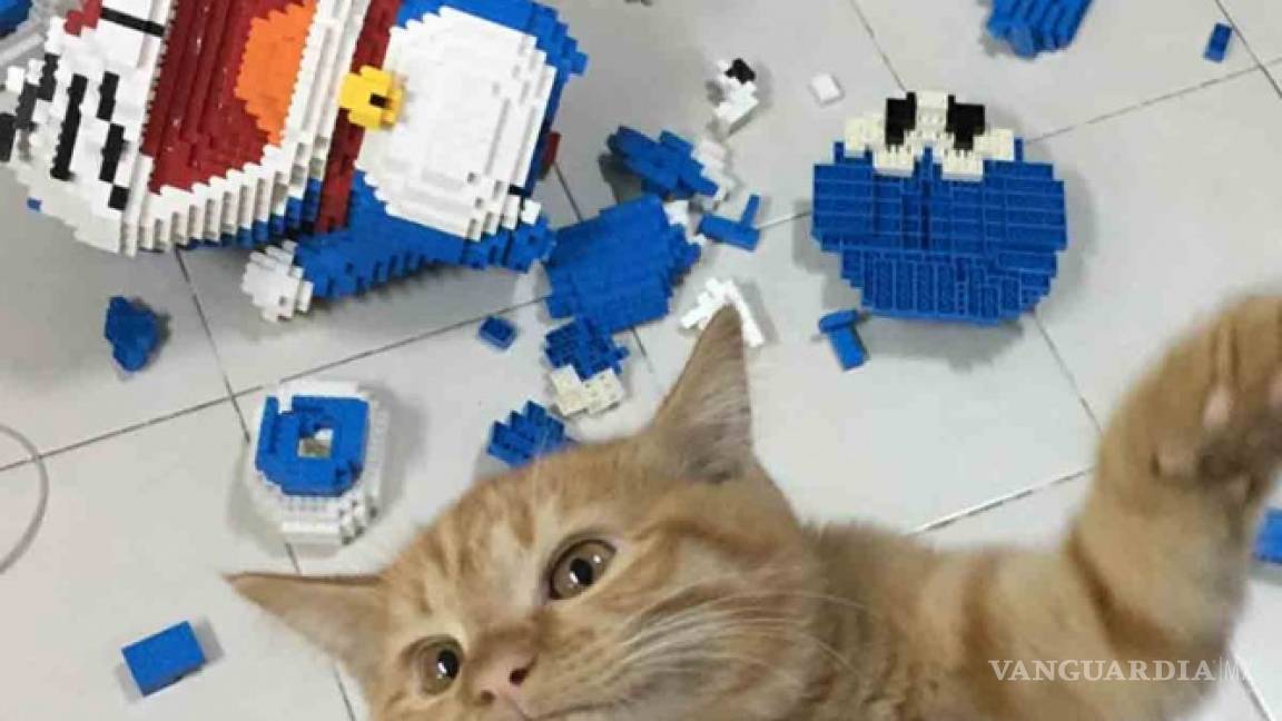 Construyó una escultura de LEGO y su gato la destruyó