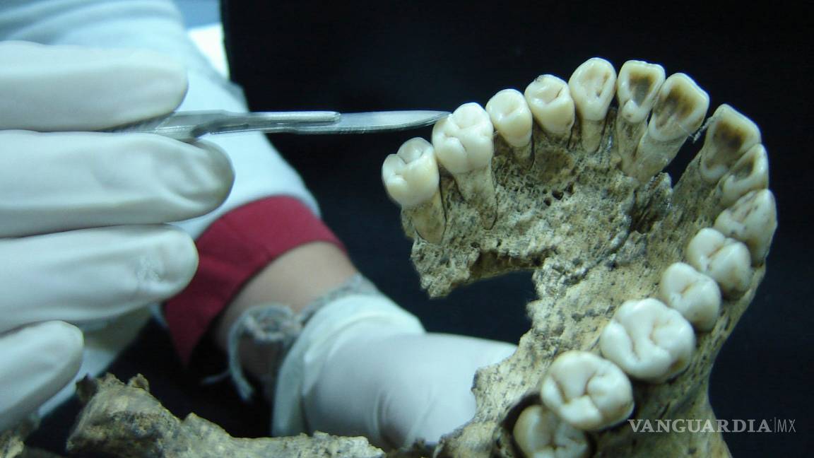 $!Arqueólogo hace nuevos aportes sobre sacrificios humanos en Tenochtitlan