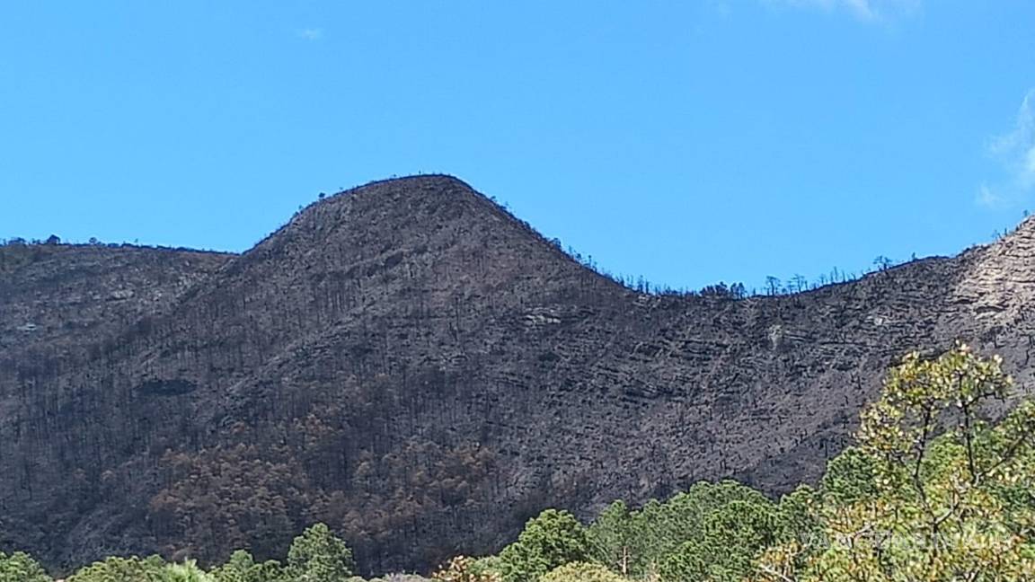 $!Los contrastes entre lo cenizo y lo verde se aprecia desde varios puntos.