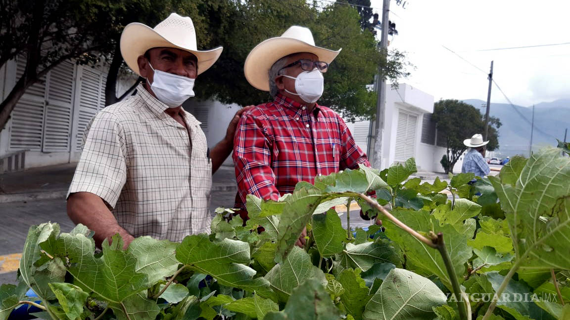 Impulsan la siembra de higo en la Región Sureste de Coahuila