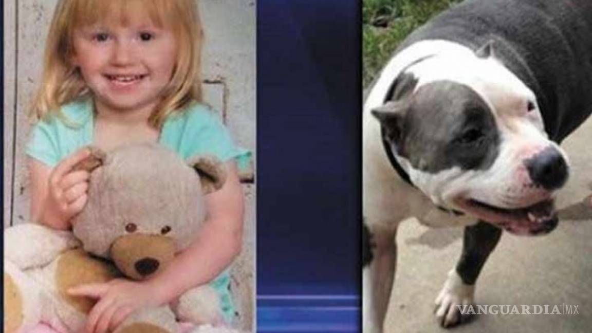 Niña de dos años es rescatada por su perrita pitbull