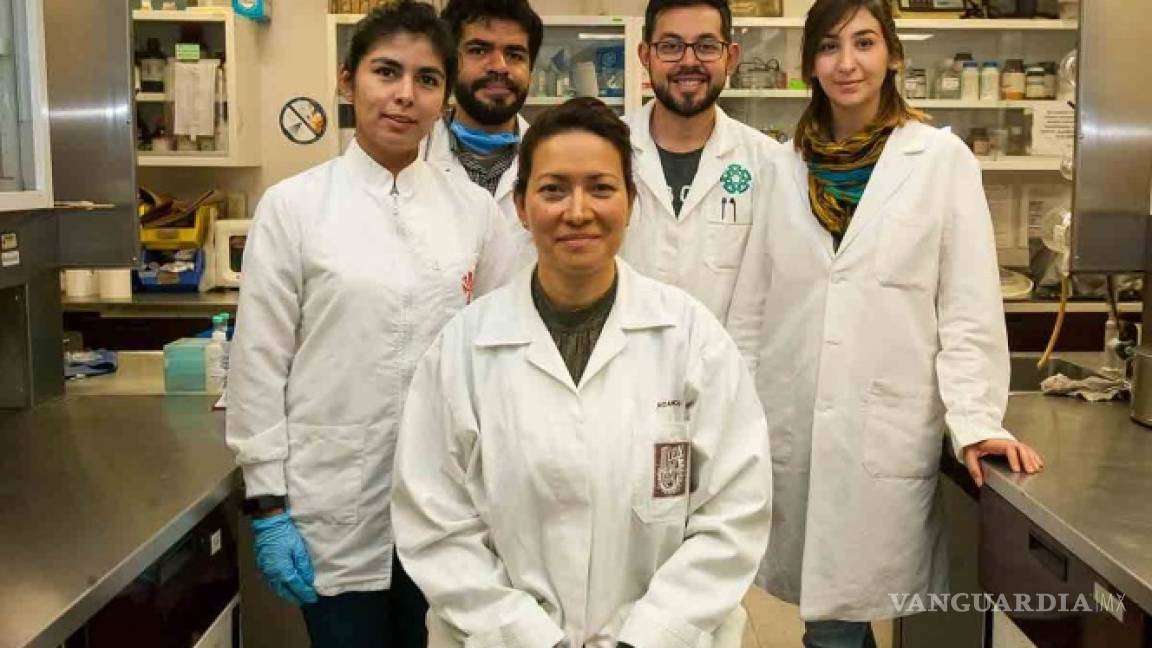 Científicos del IPN eliminan al 100% virus del papiloma humano en 29 mujeres
