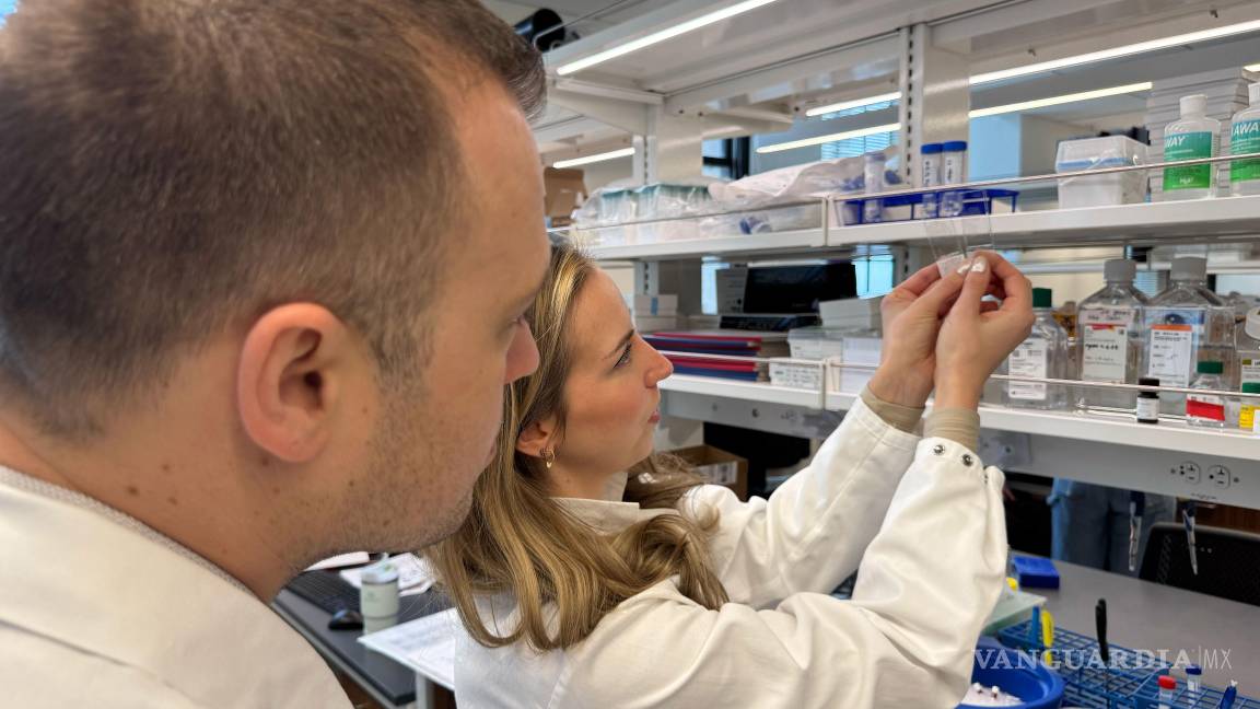 $!Los autores del estudio, David Gate (izquierda) y Lynn van Olst (derecha), comparan dos portaobjetos con tejido cerebral humano con enfermedad de Alzheimer.