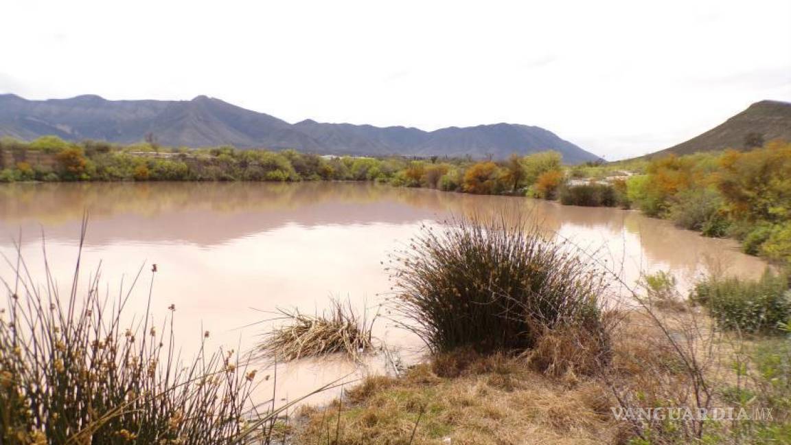 Saltillo: Denuncian vecinos contaminación de presa de gaviones, se perdió fauna silvestre