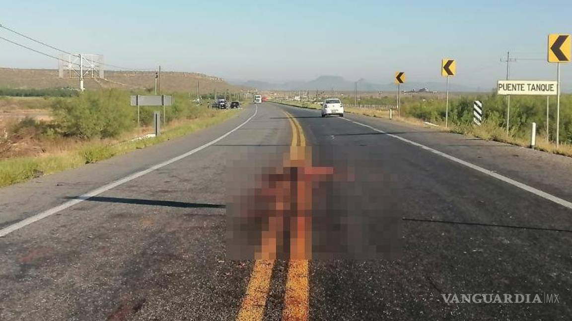 $!El burro atropellado fue retirado de uno de los carriles por personal de apoyo.