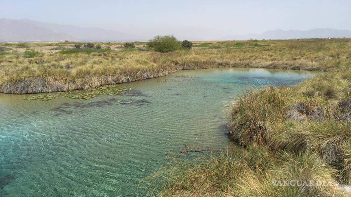 $!Llegan imágenes de la Ruta del Desierto al Senado de la República