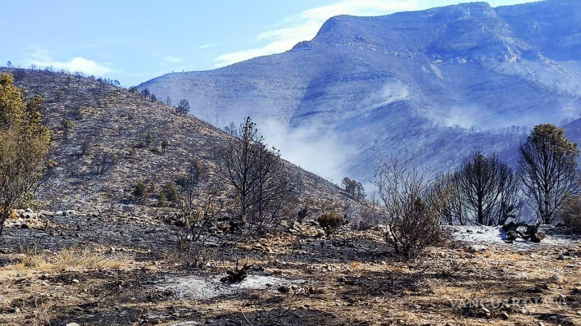 $!Liquidados, tres incendios forestales en el Sureste de Coahuila; aun hay seis activos
