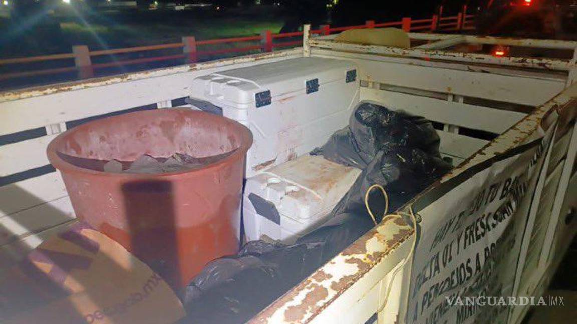 Dejan 15 cuerpos en dos camionetas sobre un puente de Tuxpan, en Veracruz