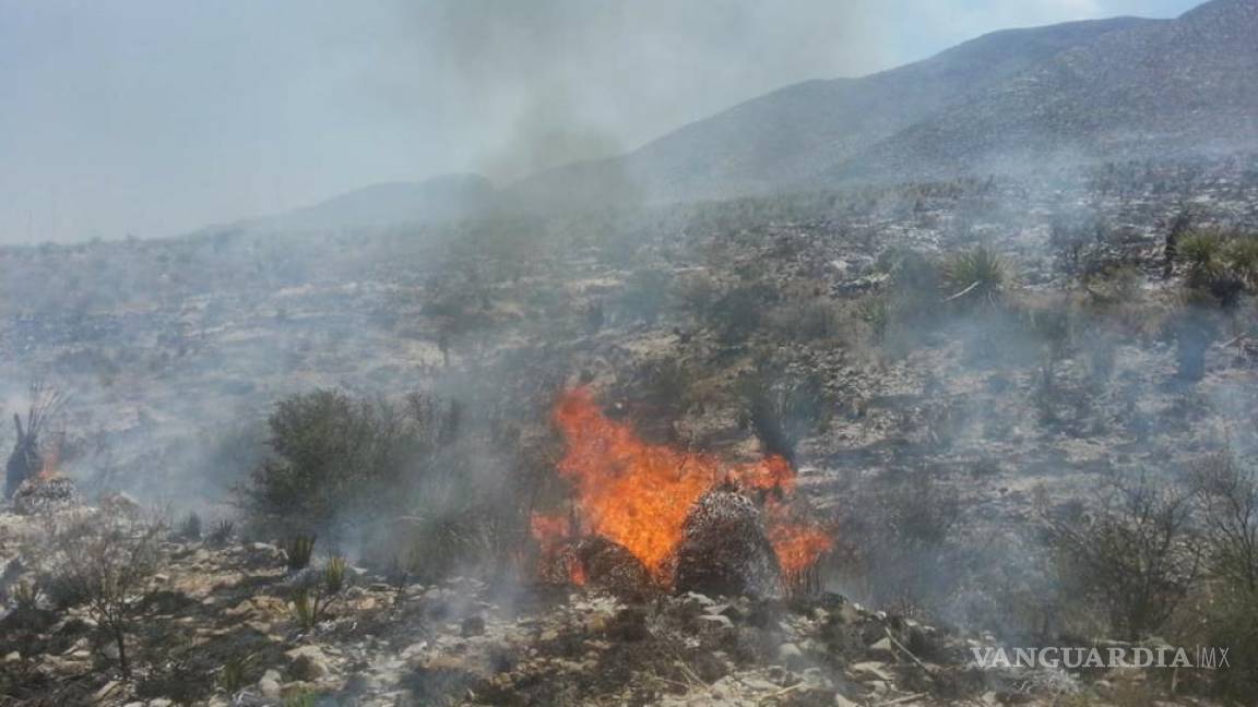 Sofocan incendio en ejido Los Laureles de Ocampo