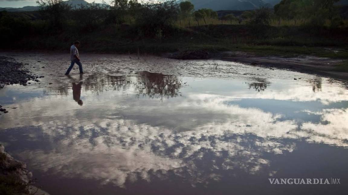 No hay pruebas que vinculen afectaciones al ambiente con derrame: Grupo México