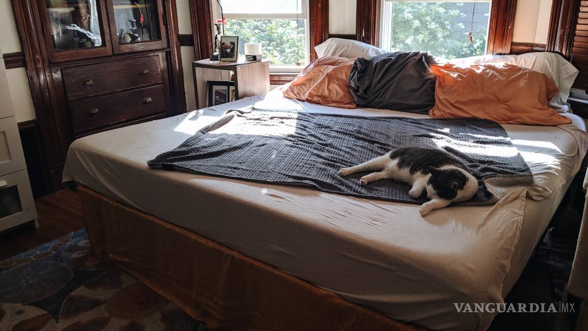 $!¡Año Nuevo, Vida Nueva! Propósitos para decorar tu casa en 2021