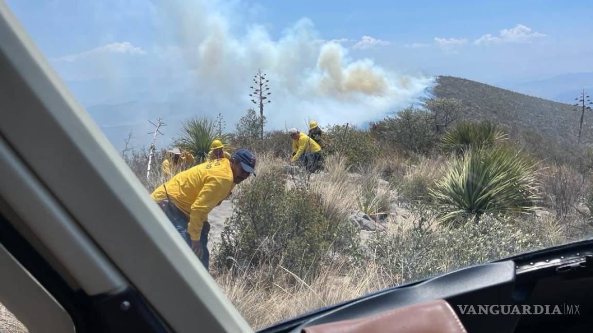 Sierra de Arteaga: consumen dos incendios 40 hectáreas en solo 24 horas; Bosques de Huachichil y Jagüey de Ferniza, los afectados