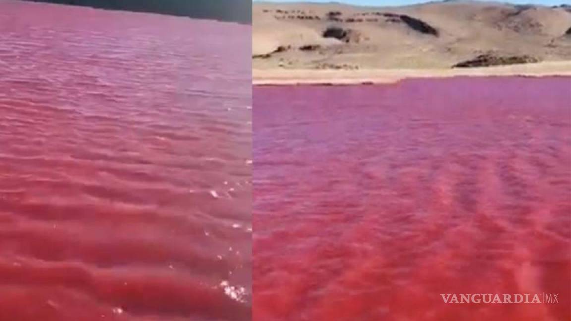 ¿Es cierto que el Río Nilo en Egipto se tiñó de rojo?