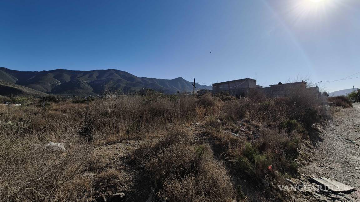 Urge detener el ecocidio causado con la invasión a la Sierra de Zapalinamé en Saltillo: Activista