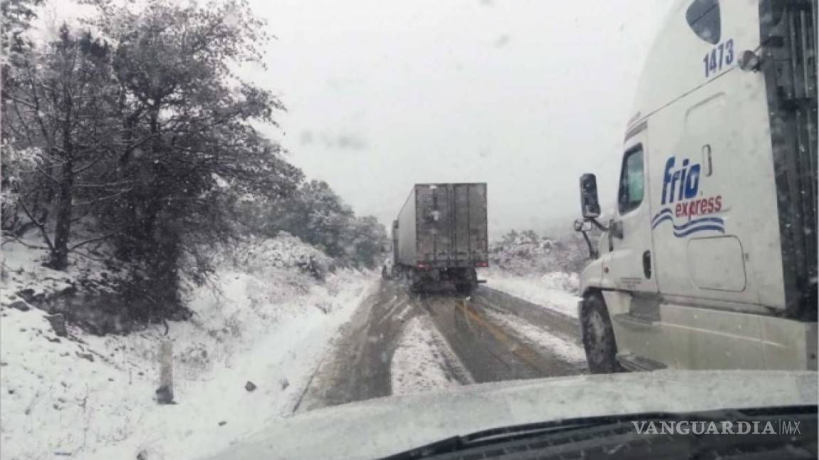 Por nevadas en Chihuahua, declaran en emergencia a 12 municipios