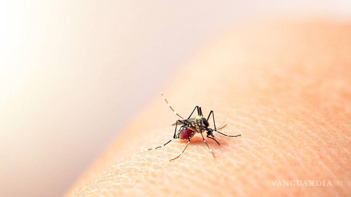Registra México 18 mil casos de dengue y 26 defunciones: Secretaría de Salud