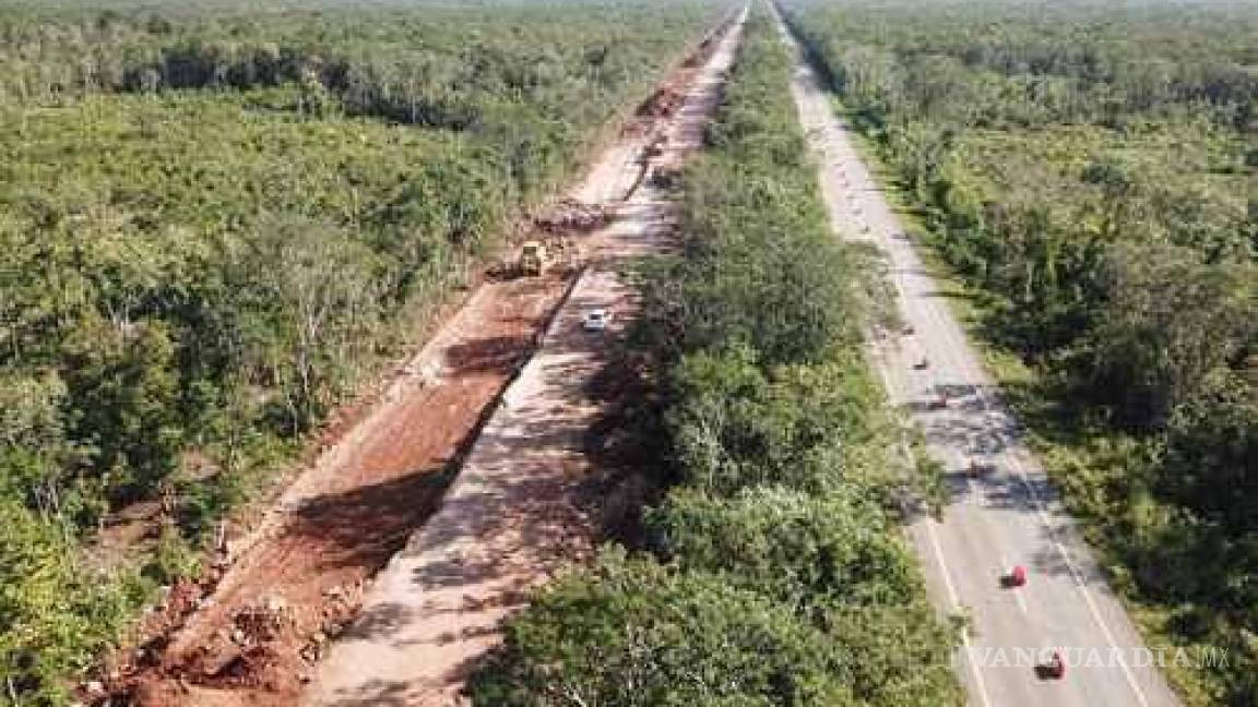 Juez acepta demanda contra constructoras del Tren Maya; les reclaman 27 mil mdd por daño ambiental
