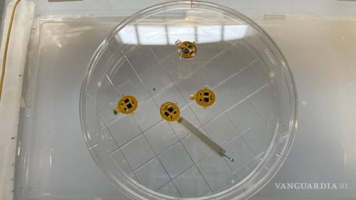 $!Piezas del dispositivo BES en una cubeta de laboratorio.