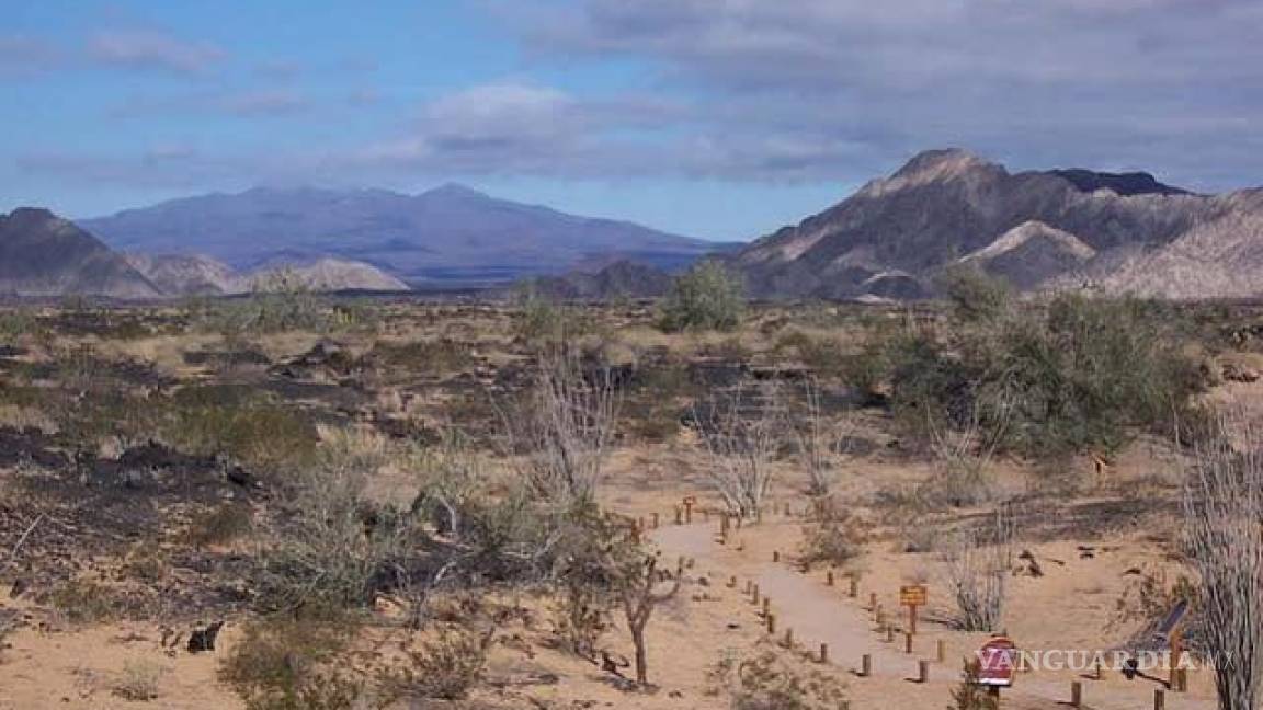 Masacraron a más de 50 migrantes en el desierto de Sonora, denuncia organización