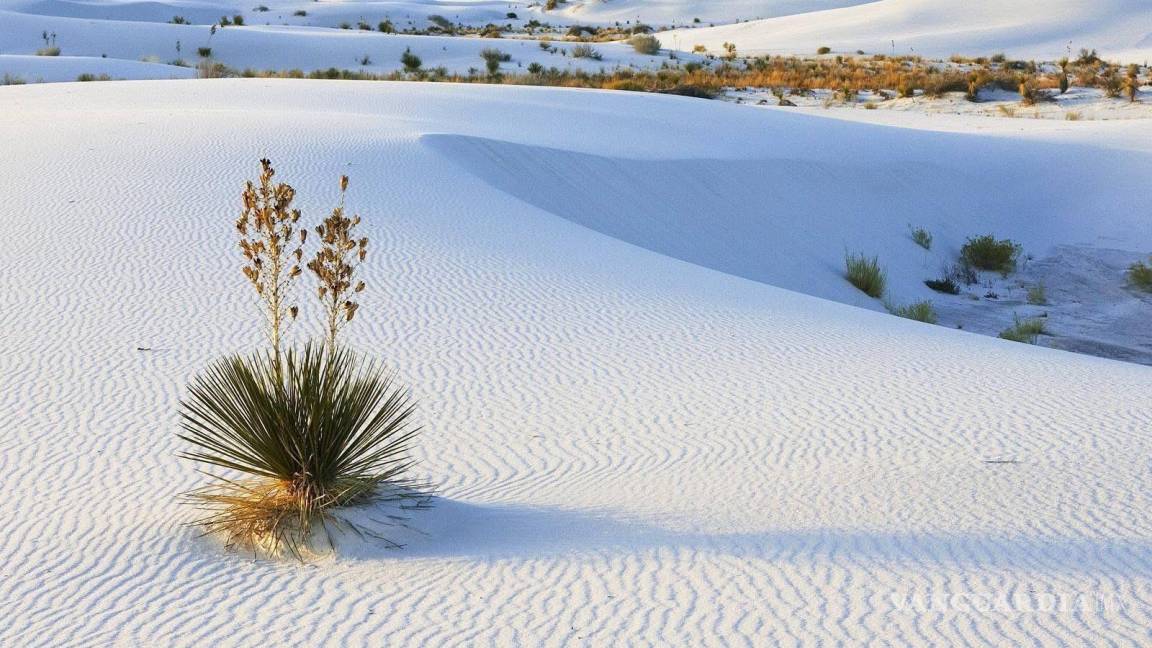 Cuatro Ciénegas cierra 2024 con récord turístico en temporada navideña