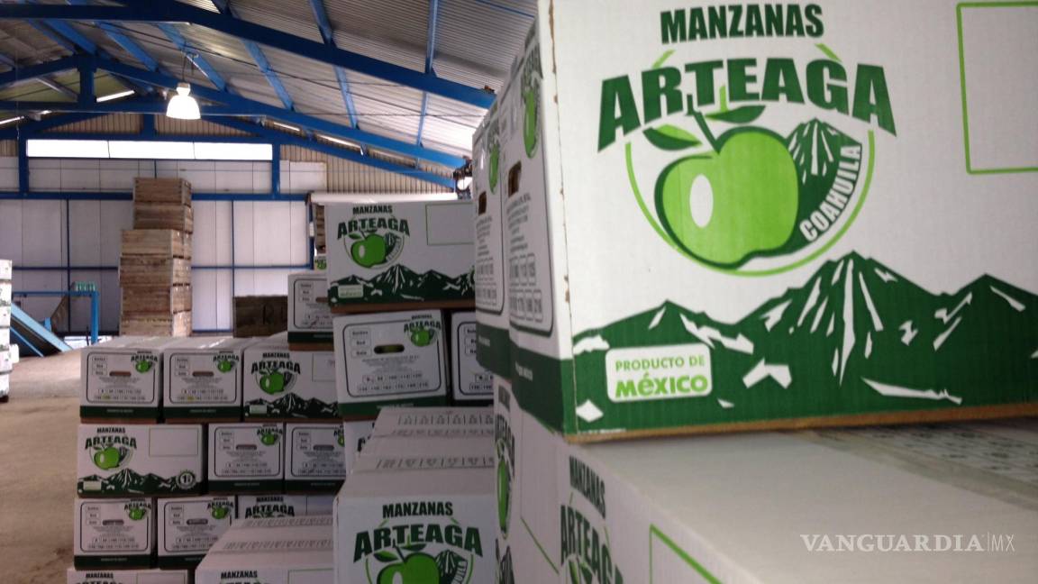 Sí tendrá Arteaga Feria de la Manzana