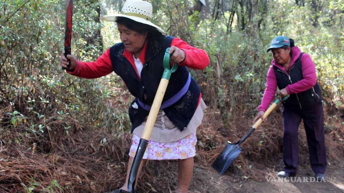 Con picos y palas estas mujeres protegen el Parque Nacional Malinche