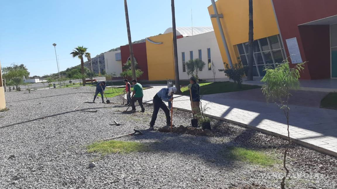 La dirección de Medio Ambiente de Torreón reforesta la Jabonera
