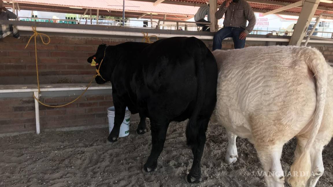 Responde productores por recorte de 250mdp para campo: menciona José Luis Flores de SDR Coahuila