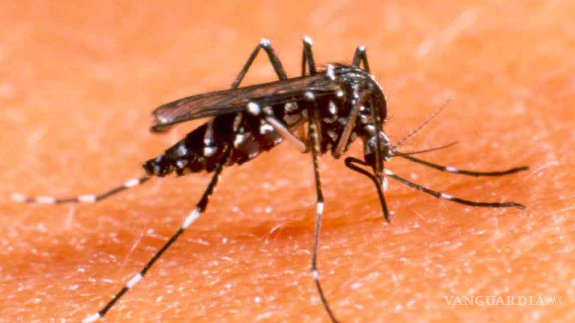 Lanzan plan de vacunación masiva contra el dengue en Filipinas