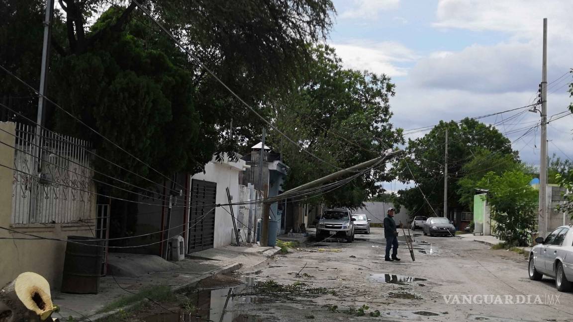 Fuertes vientos tumban postes y árboles en Monclova