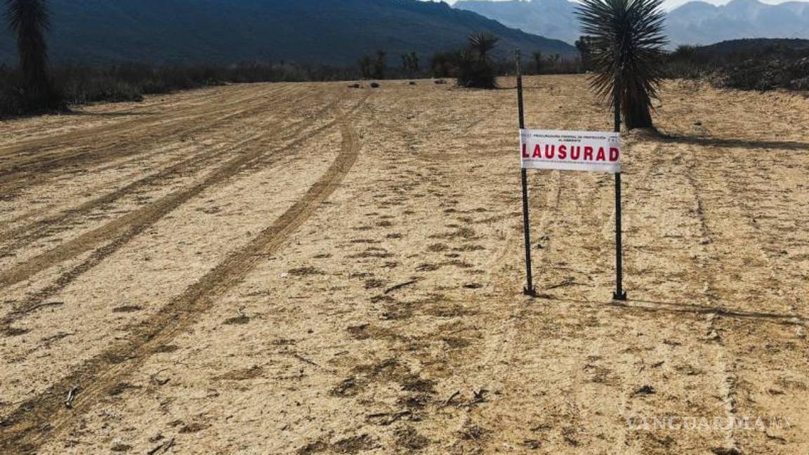 $!La superficie afectada por las actividades no autorizadas es de aproximadamente 125 mil metros cuadrados.