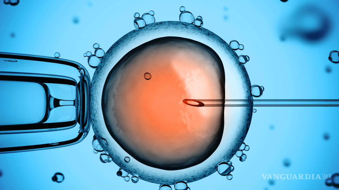 Logran 'borrar' con edición genética un embrión humano por primera vez en la historia