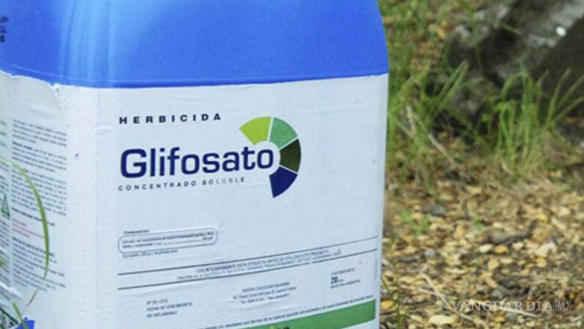 Prohibición del glifosato provoca diferencias entre senadores de Morena