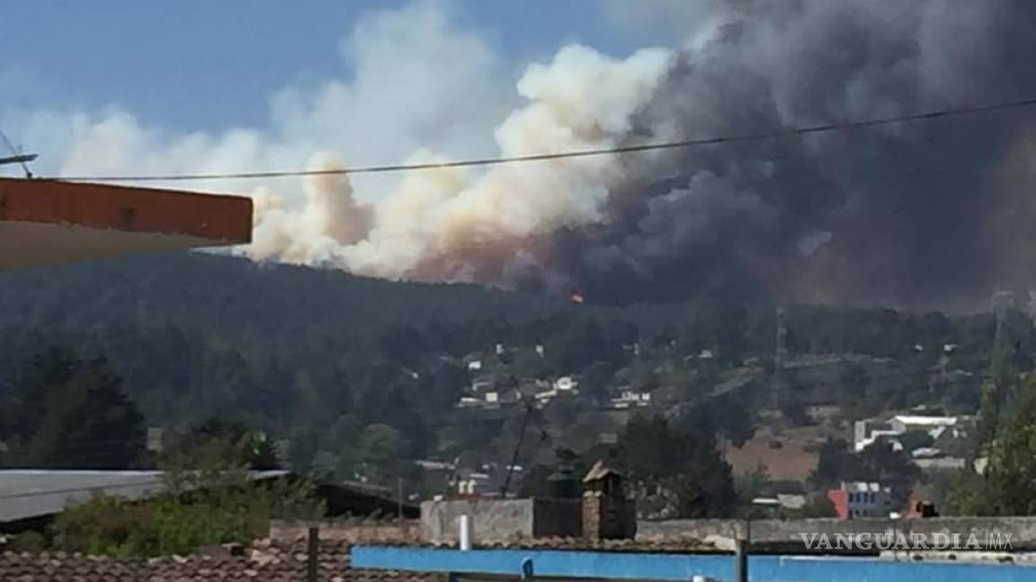 Evacuan a más de 100 familias en Veracruz por incendio forestal