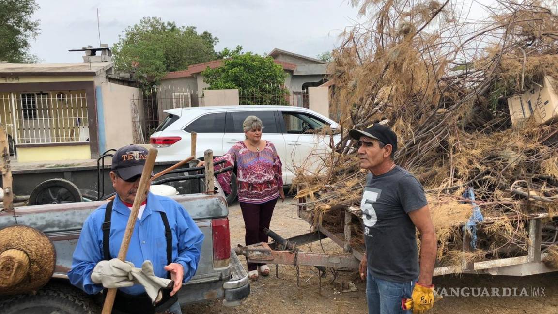 Continúan trabajos de limpieza y retiro de árboles caídos en San Buenaventura por lluvias