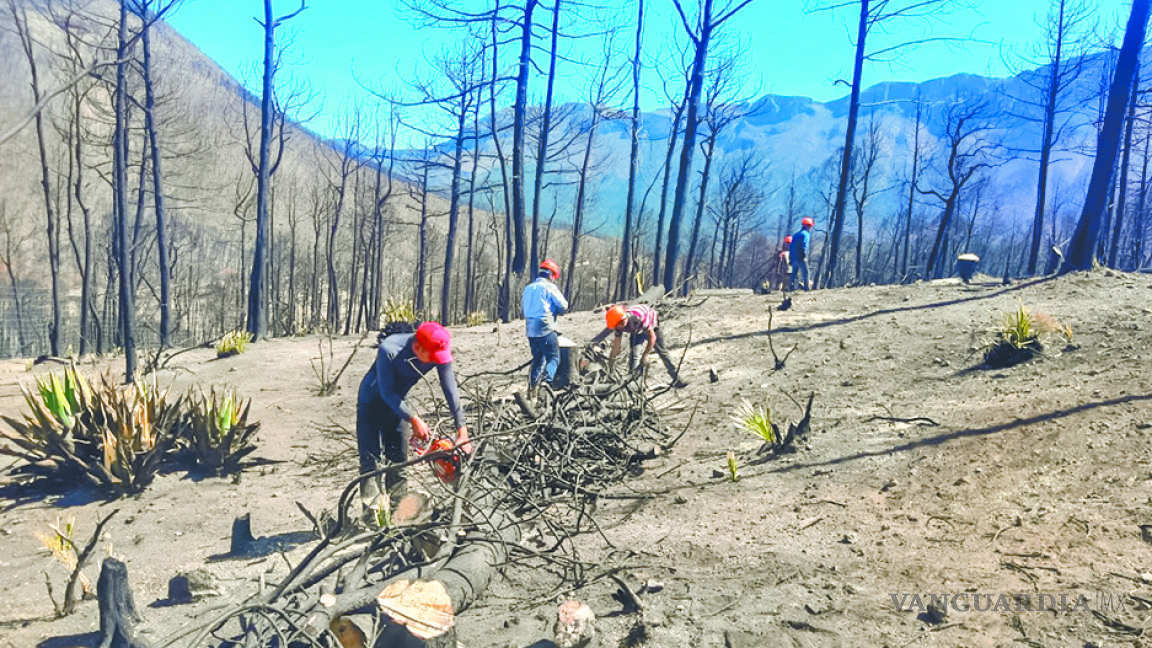 Reconstruyen viviendas dañadas por incendio en la Sierra de Arteaga