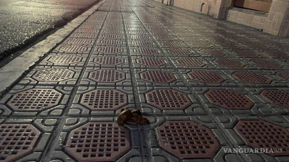 $!“Retirar las heces cuando excreten en la vía pública y del lugar donde cotidianamente reside el animal y depositarlas en una bolsa plástica dentro de un bote de basura”, dice el artículo 25 del Reglamento.